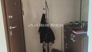 9 L7416 Nees Photo.jpg